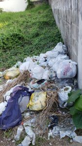Q.石垣島の家の近く(家から見える場所)の空き地にゴミを捨てている人がいます。家庭ゴミです。スーパーの袋に入れて捨てられています。私道ですが私も車で通る場所でとても不快で困っています。自分の土地でもないし誰が捨てているかわからないのです。(もしかしたら隣接している家の人?)これは市役所?警察?どちらに相談したらいいのでしょうか?