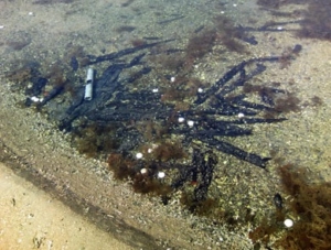 Q.潮干狩りの場所に、打ちっぱなしのゴルフボールが。どちらに、通報するのが筋でしょうか？