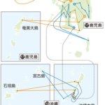 【ハナタカ情報】来年5月2日に聖火リレーが石垣島に